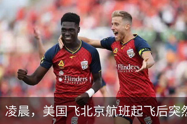 凌晨，美国飞北京航班起飞后突然返航，机上有262人，航司回应