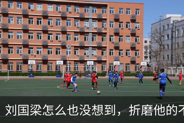 刘国梁怎么也没想到，折磨他的不是举报信，而是冷冰冰的WTTC报告
