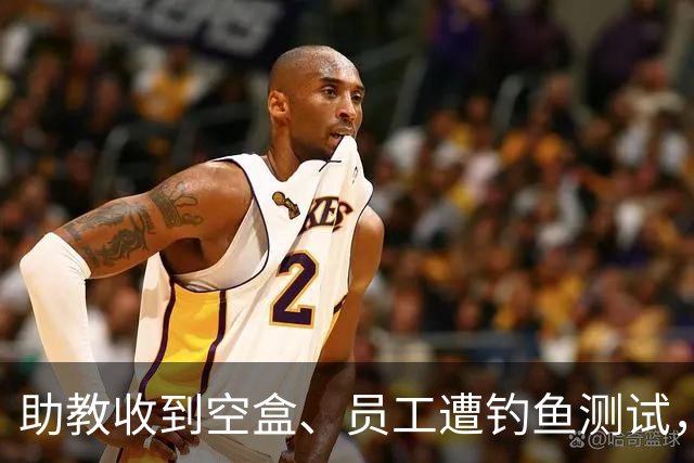 助教收到空盒、员工遭钓鱼测试，尼克斯发声明回应