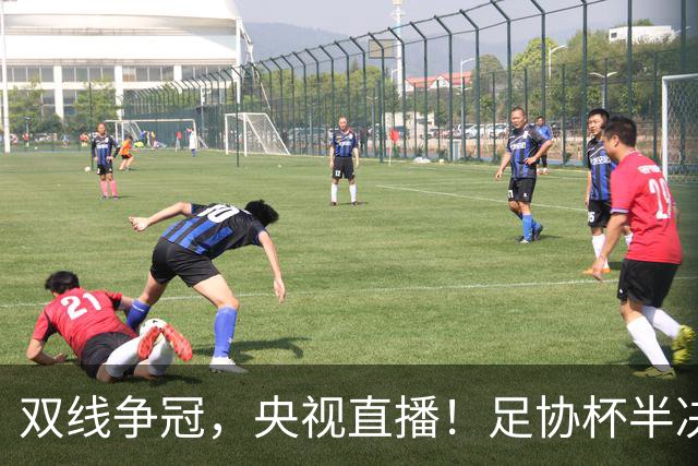 双线争冠，央视直播！足协杯半决赛先赛1场，大连英博客战云南玉昆