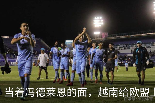 当着冯德莱恩的面，越南给欧盟上了一课：这就是“中国力量”