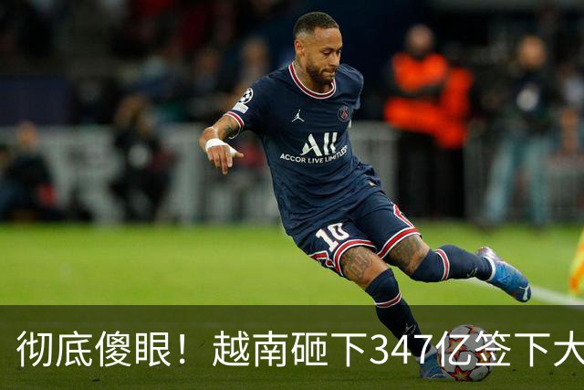 彻底傻眼！越南砸下347亿签下大单，4天后中方一纸禁令，项目悬了
