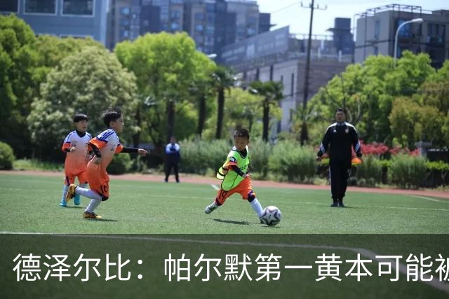德泽尔比：帕尔默第一黄本可能被直接罚下，但这不是问题