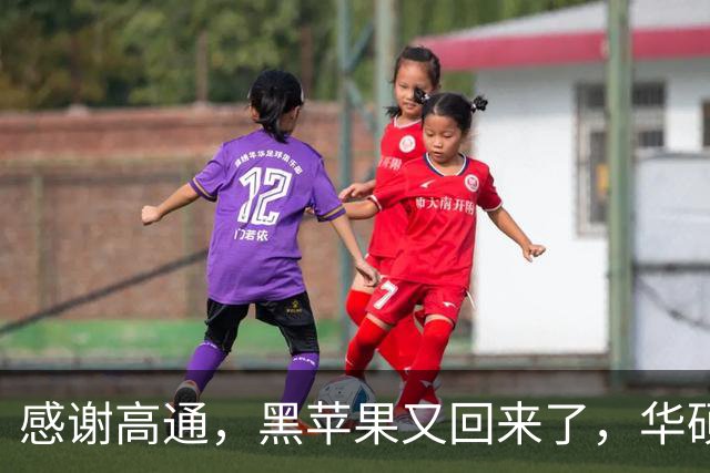 感谢高通，黑苹果又回来了，华硕笔记本成功运行macOS
