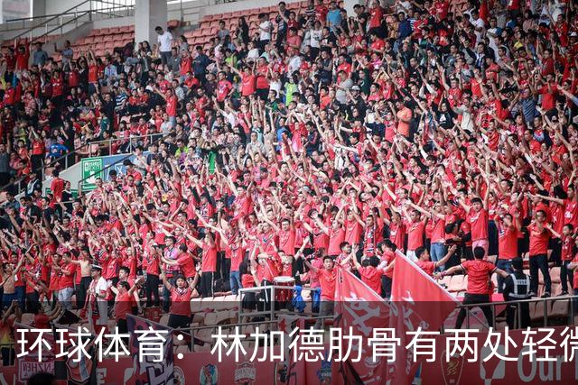 环球体育：林加德肋骨有两处轻微骨折，无法参加集体训练