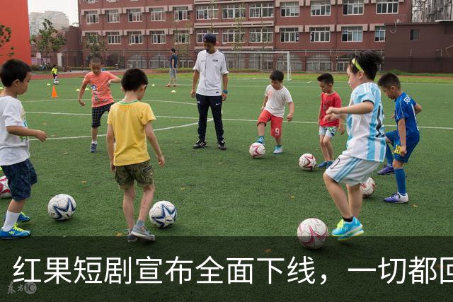 红果短剧宣布全面下线，一切都回不去了