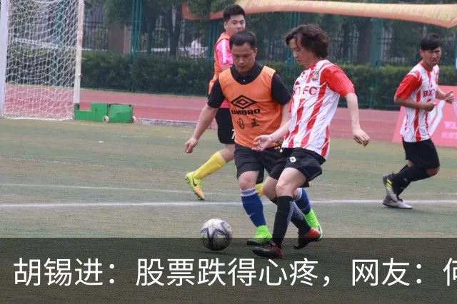 胡锡进：股票跌得心疼，网友：何止心疼，完全是肉疼