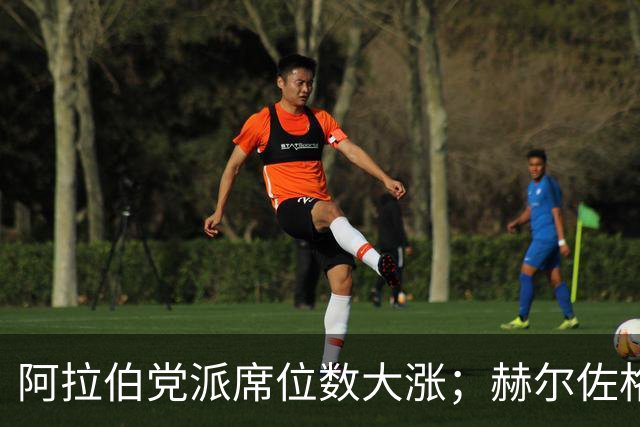 阿拉伯党派席位数大涨；赫尔佐格呼吁避免新的大选
