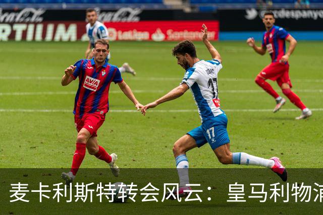 麦卡利斯特转会风云：皇马利物浦暗战，忠诚是伪命题
