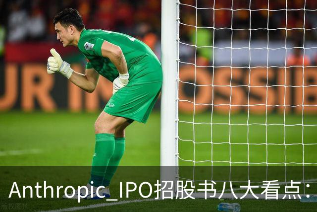 Anthropic IPO招股书八大看点：增速逆天，但风险也是明摆着的