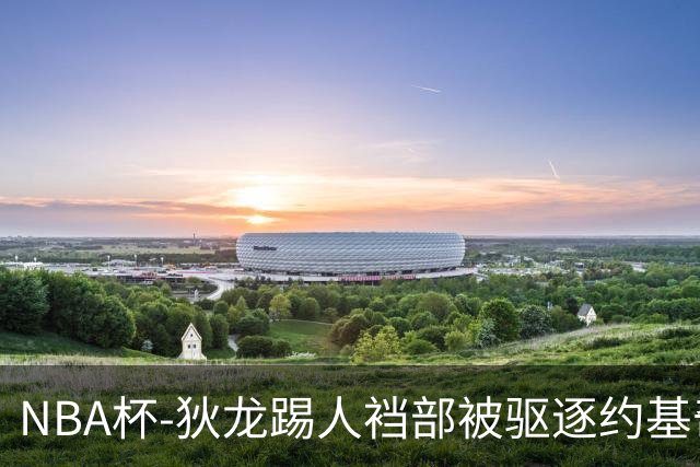 NBA杯-狄龙踢人裆部被驱逐约基奇18+10 掘金射落太阳